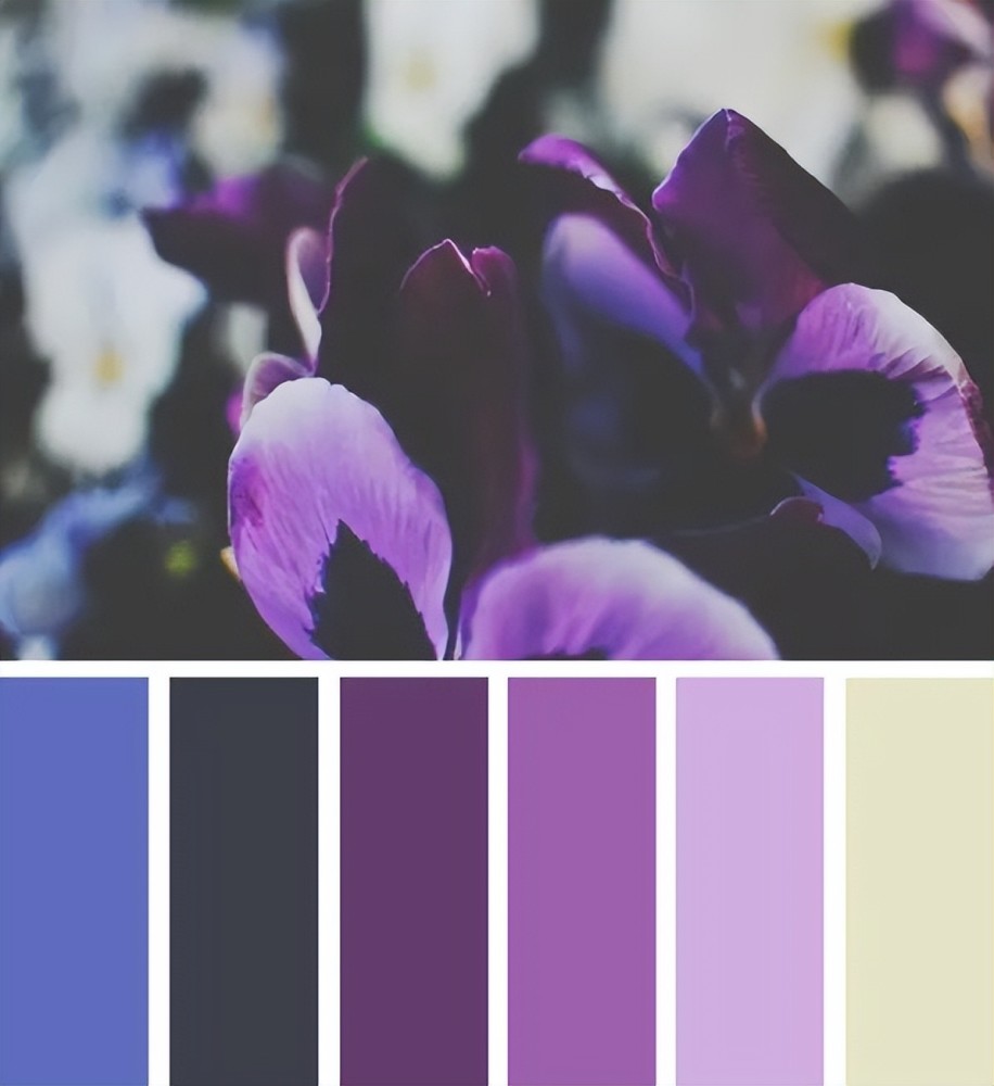 第二种,复古紫色系如果想让穿搭更出彩,可以选择红白配色的条纹衫