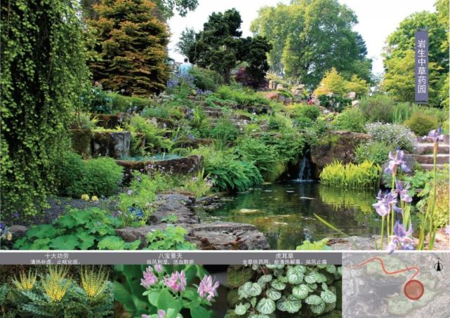 芳香園杜鵑園柏木園入口效果建設國內第一中草藥植物園,核心突出