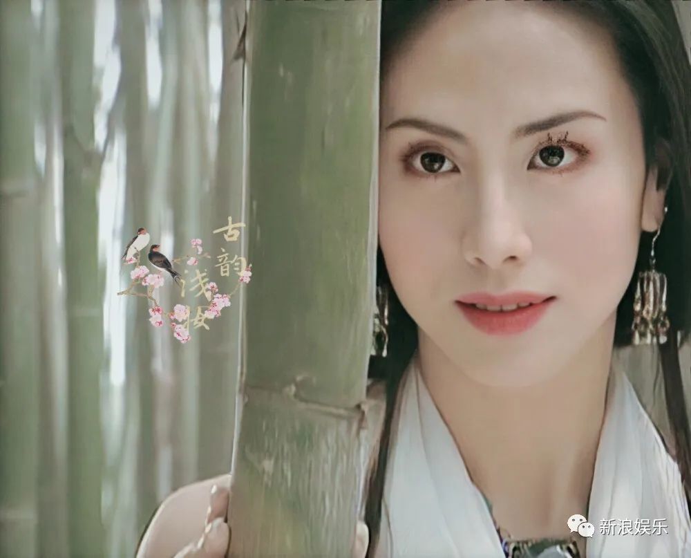 2001年的《风云》,饰演雄霸夫人颜盈2000年左右,田丽终于抓住机会,将