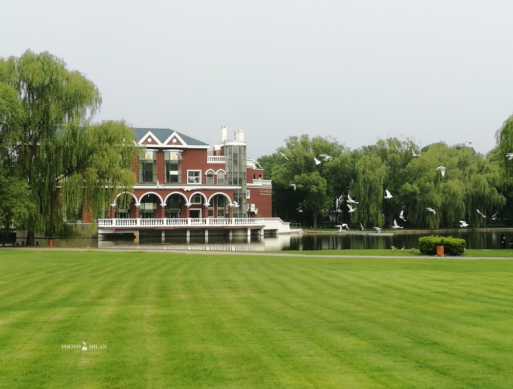 云游美食 这四家风格迥异的西餐 浪漫约会好地方 腾讯新闻