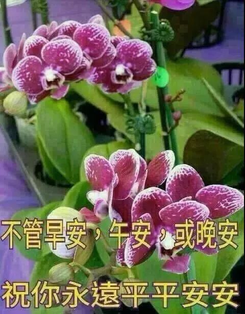 客户晚安问候短信简短_周一早安简短问候_夏天问候语简短