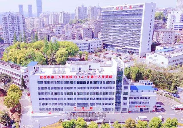 因业务发展和工作需要,为加强医院人才梯队建设,宜昌市第三人民医院