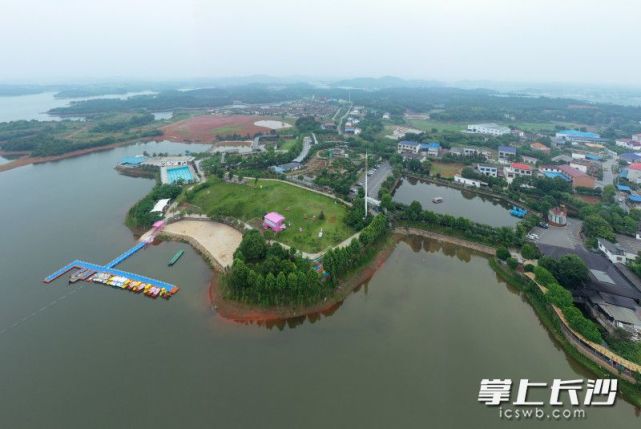 浏阳这位网红"鹅叔"爱上直播