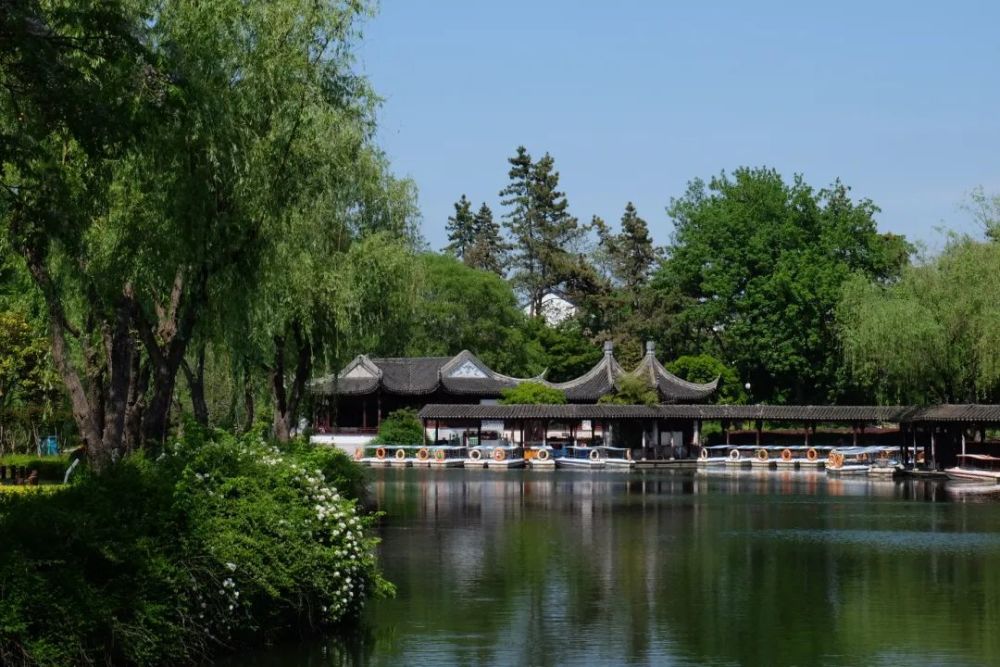 有河流有绿树有阳光是夏天偏爱苏州东园慢时光