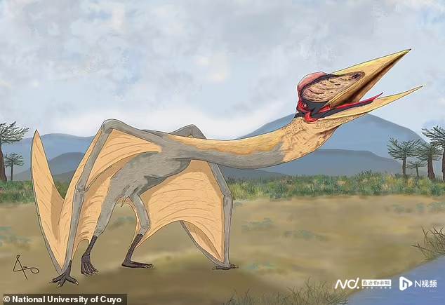 "死亡之龙"惊现阿根廷:南美最大翼龙,繁衍了2000万年