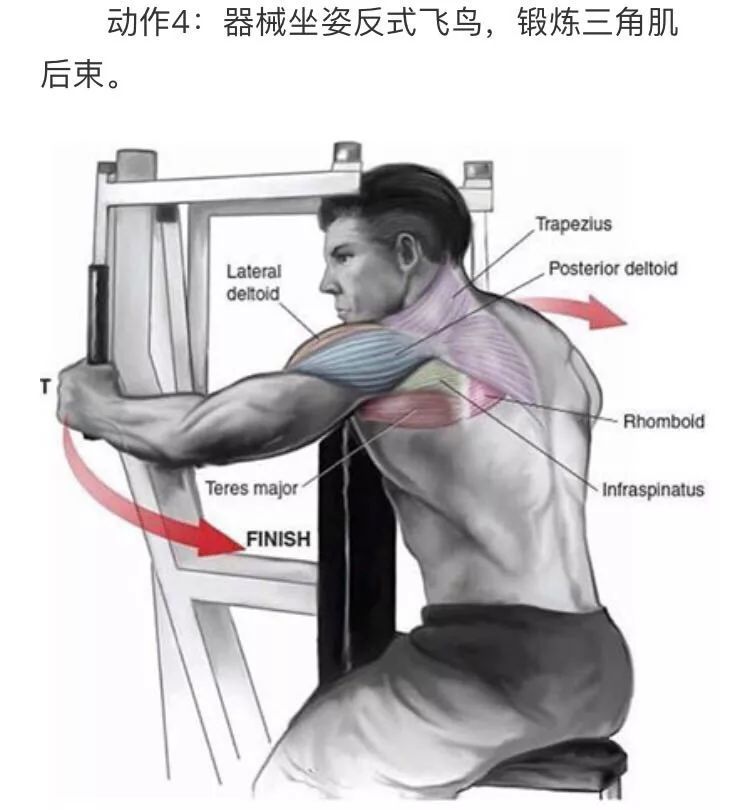 9个经典肩膀训练动作图解,让你的肩膀再宽5厘米_腾讯新闻