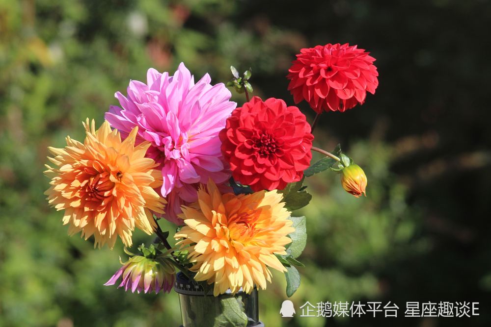 5月26日 6月1日爱情运势 喜提真爱 举案齐眉的四大星座 腾讯新闻