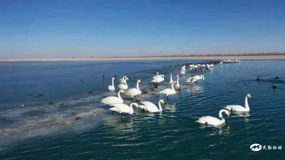 石羊河国家湿地公园图片