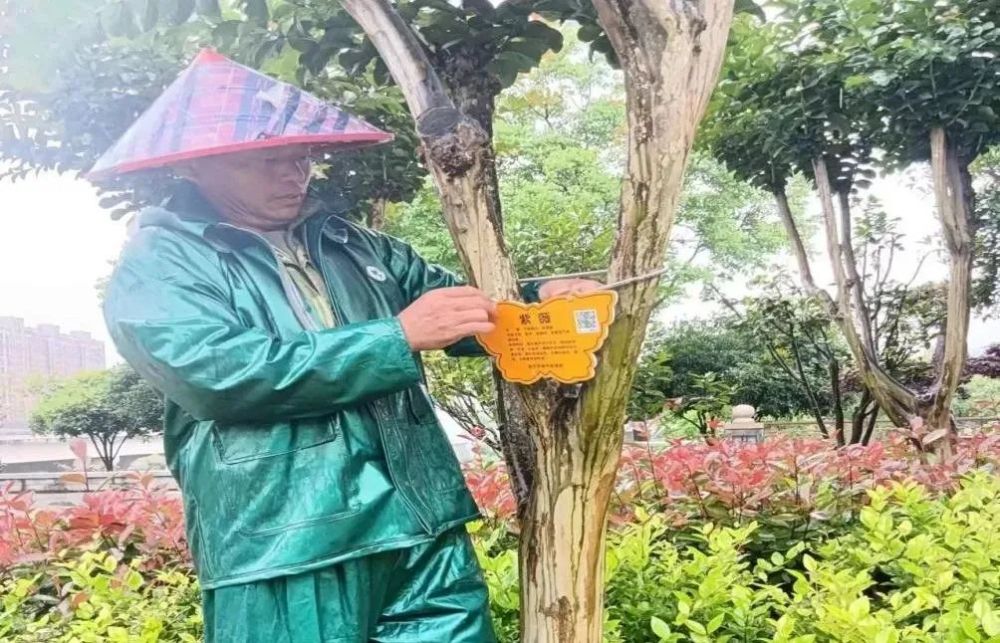 植物电子身份证亮相武夷新区公园草木扫码可阅读