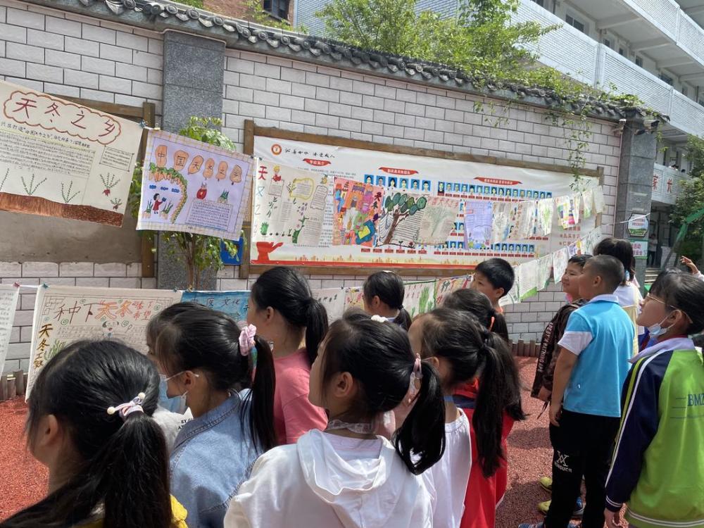 种下天冬 播下希望 小学生用手抄报 儿童画展示家乡特产 腾讯新闻