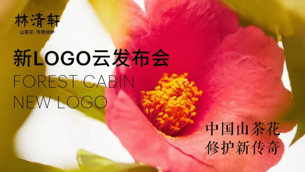 林清轩发布新LOGO，强化“红山茶花”基因