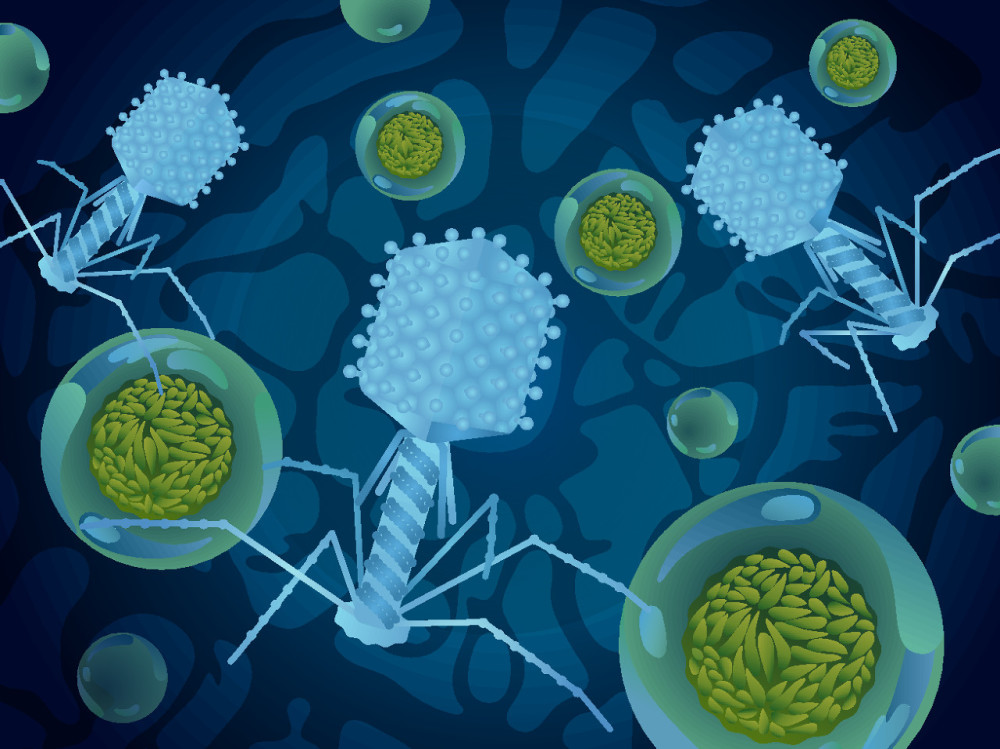 噬菌体公司获投2.34亿,腾讯参与其中_腾讯新闻