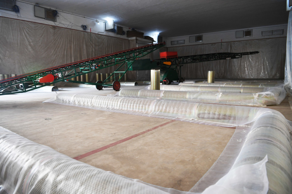 新华全媒麦收之际看粮仓科技赋能腾仓忙