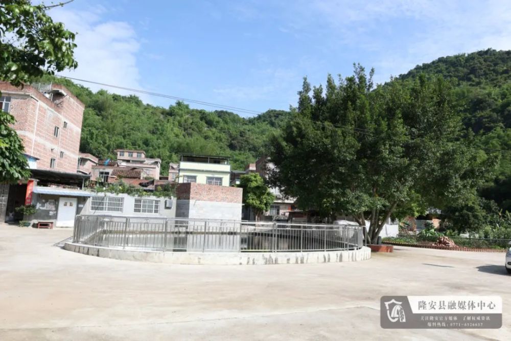 南圩镇望朝村驻村帮扶再发力乡村振兴启新程