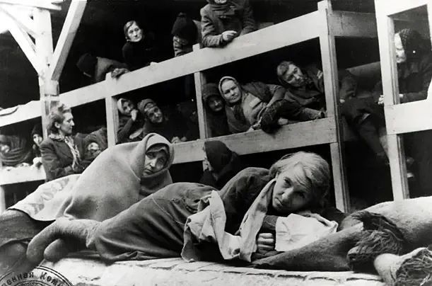 囚犯长亲历的犹太人绝育实验|纳粹党卫军|大屠杀|奥斯维辛集中营|犹太