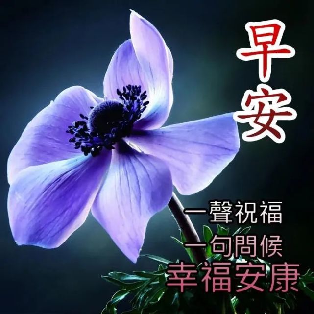 的友誼早上好問候圖片帶字溫馨6月唯美夏天早安問候祝福圖片帶字溫馨