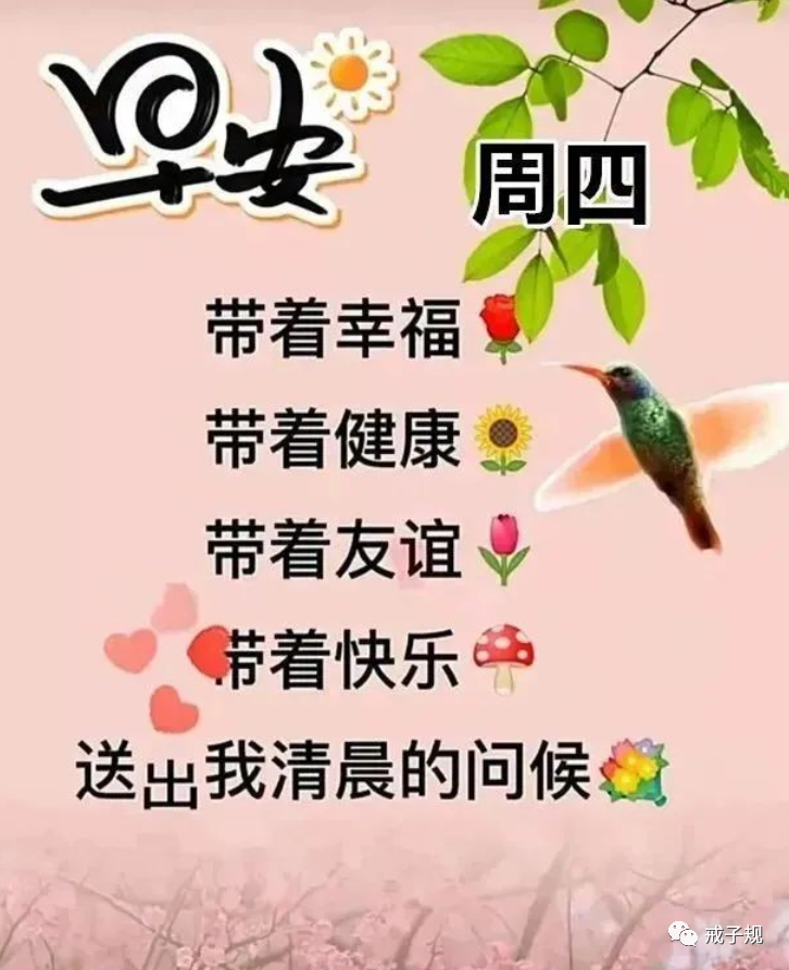 沒有煩惱;適量運動,健康就好;珍惜緣份,快樂到老;注意天氣,保重身體