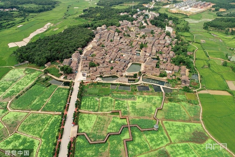 陆巷古村鸟瞰图图片