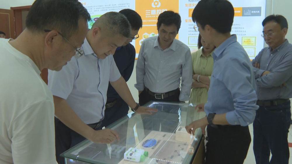 区领导调研濂溪区部分上市后备企业