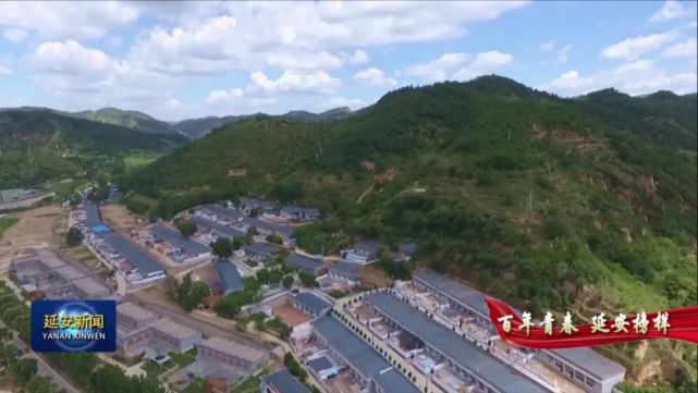 【百年青春 延安榜样】张延瑞:乡村振兴道路上贡献青春力量