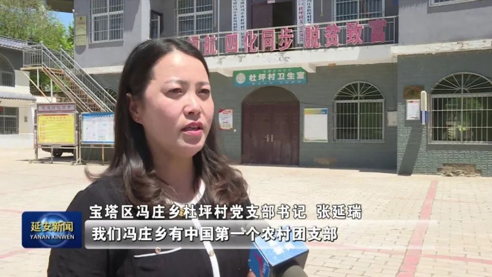 百年青春延安榜样张延瑞乡村振兴道路上贡献青春力量