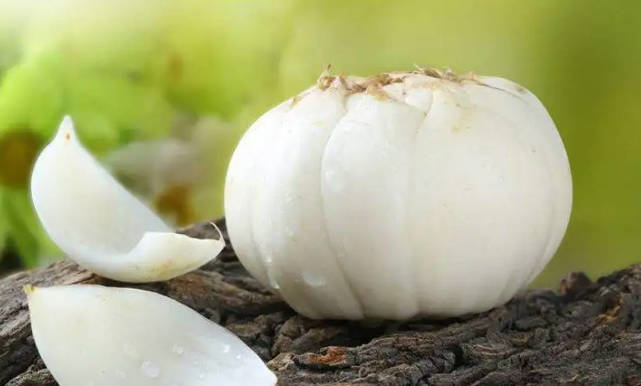 兰州百合:全国唯一食用甜百合,兰州手信新选择!