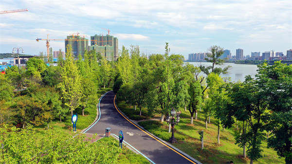 永州冷水滩潇水河畔湘江滩上的绿色印记