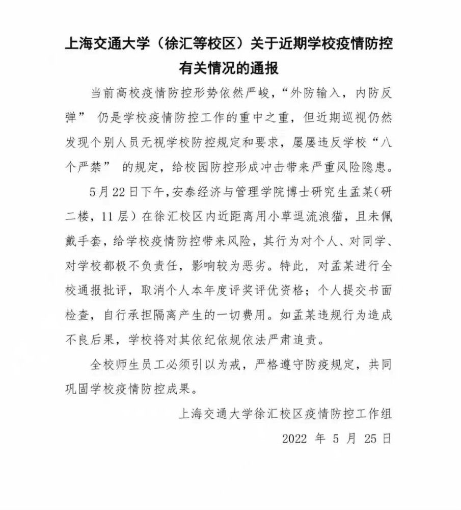 上海交大學生逗流浪貓被全校通報處分對同學對學校都極不負責任