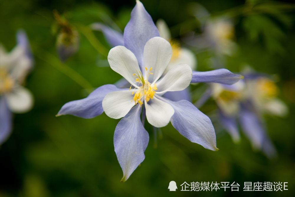 5月27日 6月2日星座运势 突破常规 迎难而上的四大星座 腾讯新闻