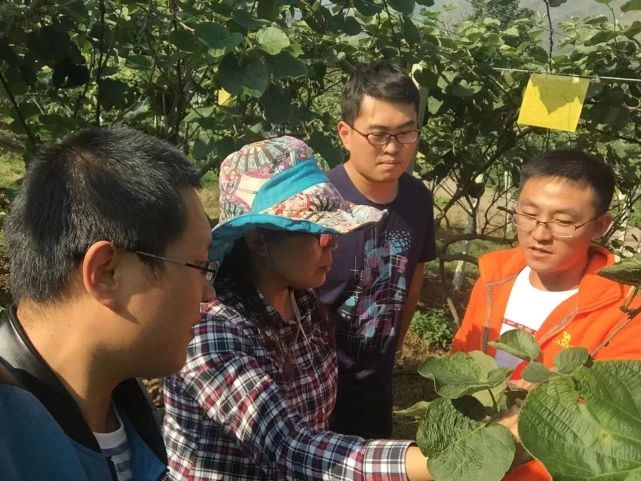 《巾帼在线|全国巾帼建功标兵李苇洁:生在农村,长在农村,助力农村