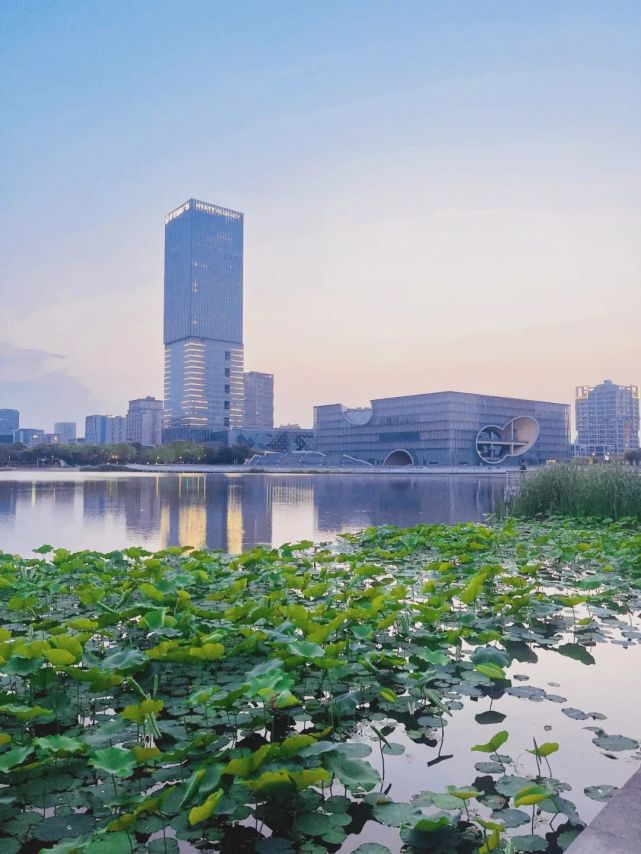 嘉定圖書館|遠香湖|嘉定新城|上海保利大劇院|嘉定區圖書館|嘉定區