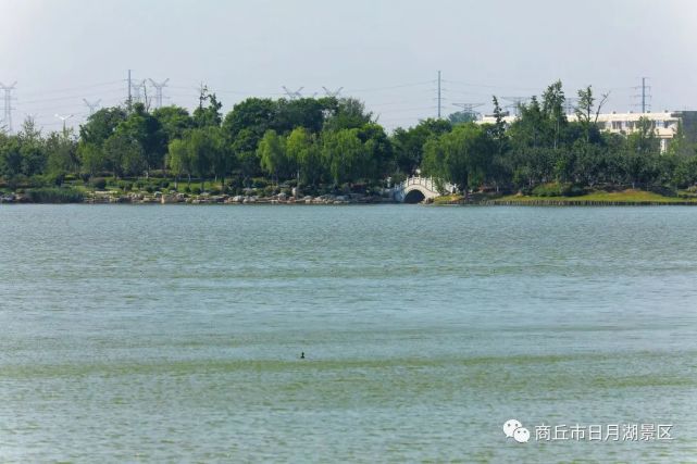 商丘市日月湖景区时光清浅闲避尘嚣