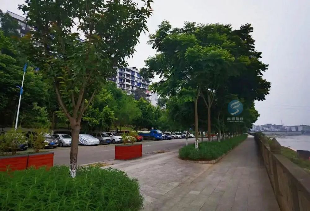 富顺滨江路竟有人用弹弓打鸟——_腾讯新闻