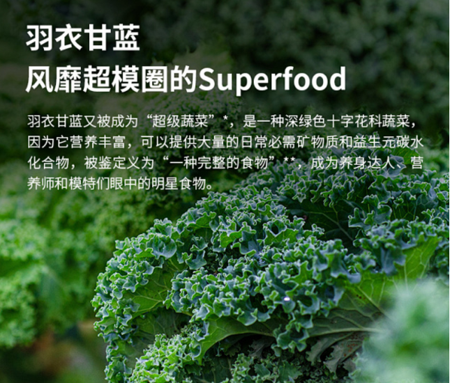 羽衣甘蓝的功效与作用(羽衣甘蓝的功效与作用图片)