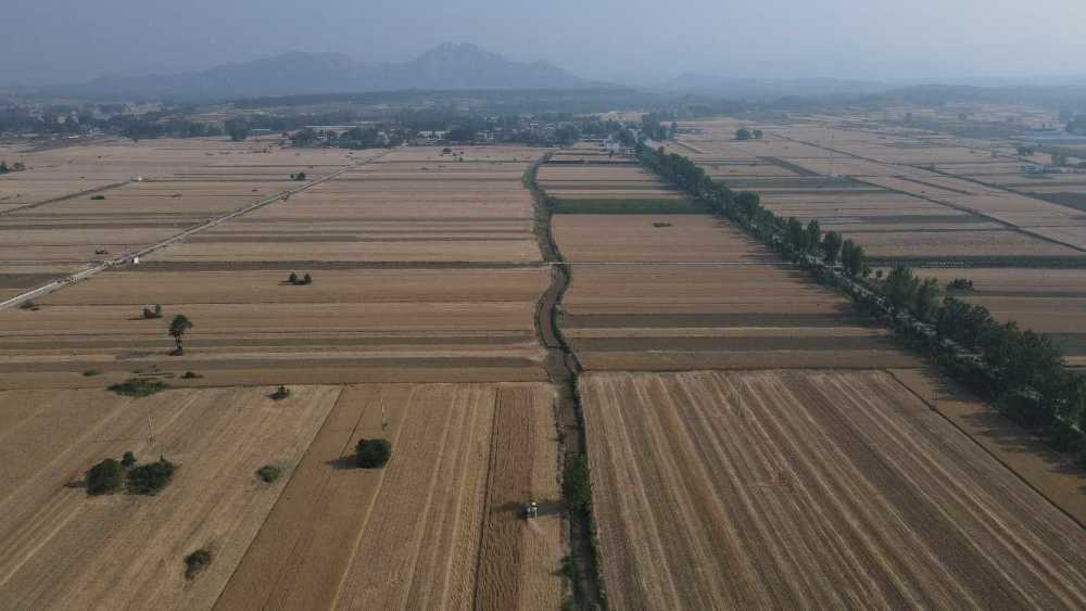 河南麦收新图景丨驻马店1168.3万亩小麦丰收在望_腾讯新闻
