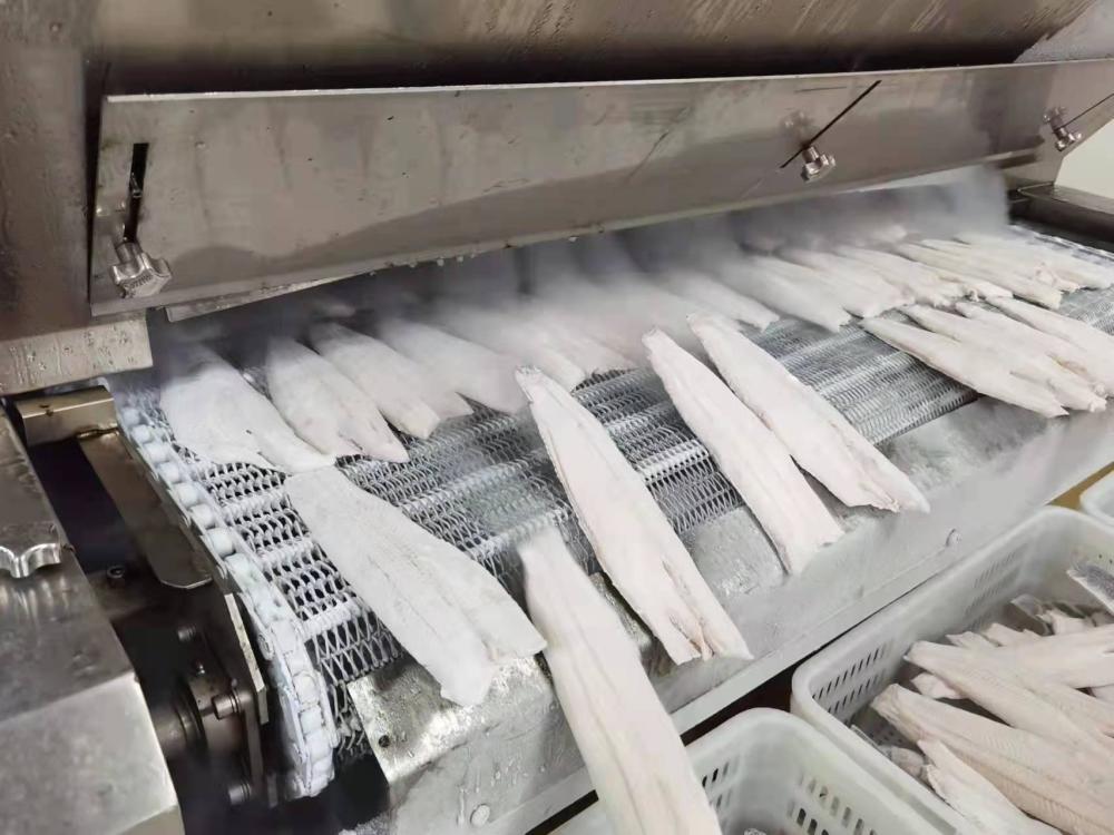 三角生鱼加工生产线擦亮"三角生鱼"金字招牌将三角生鱼做成更多人餐桌