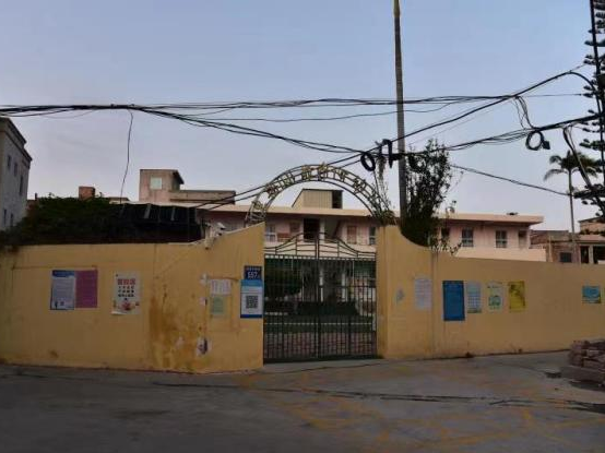 活动中心,通过与小岞中心幼儿园新桥分园,启明星幼儿园,小岞中心小学