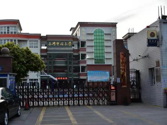 活动中心,通过与小岞中心幼儿园新桥分园,启明星幼儿园,小岞中心小学