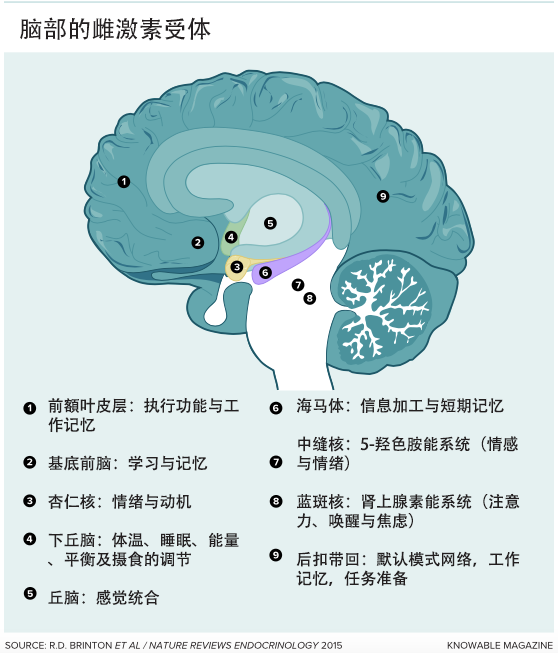 当抑郁症在更年期悄悄来临