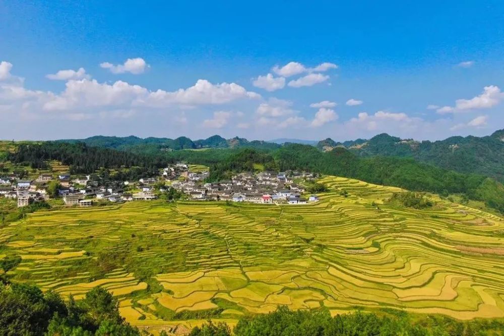 乡约贵州丹寨县石桥村丨追寻时光匠人体验造纸之村的魅力