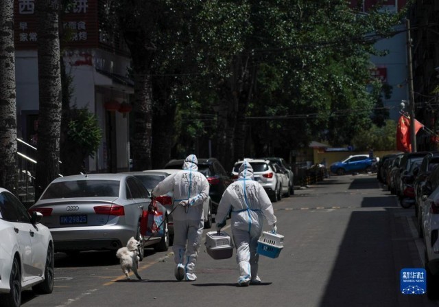 北京：让疫情中的宠物主人更安心