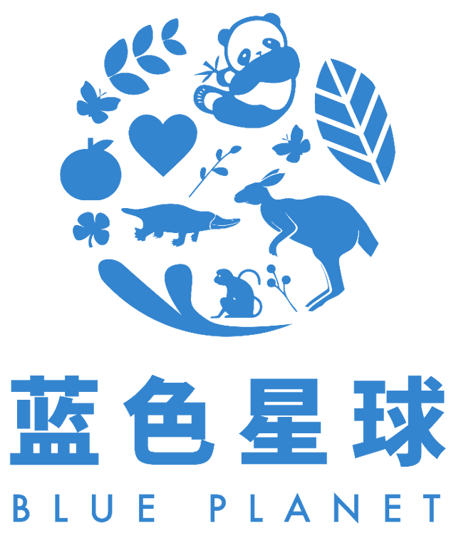 这个夏天,与贝拉米一起相约"蓝色星球"