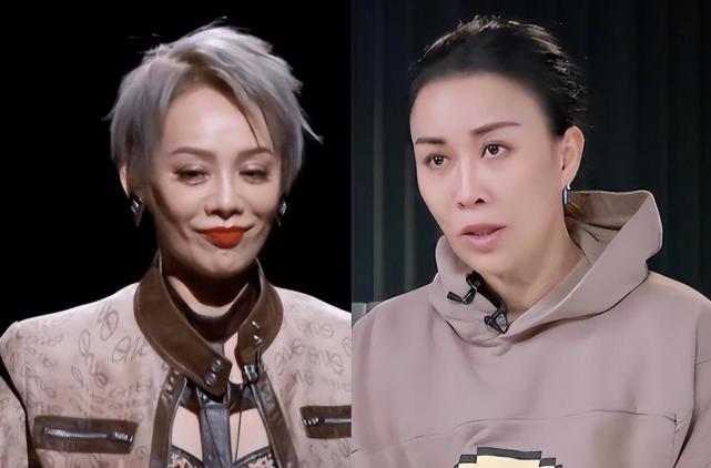 宁静那英"互呛"引热议,两人为何不选于文文?背后隐情引人深思