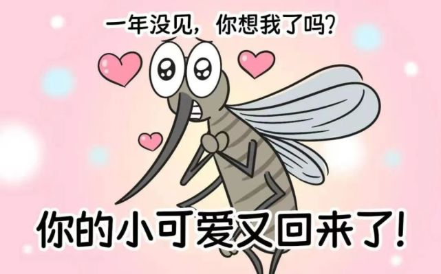 夏天到了蚊子为啥总叮你?驱蚊妙招学起来!