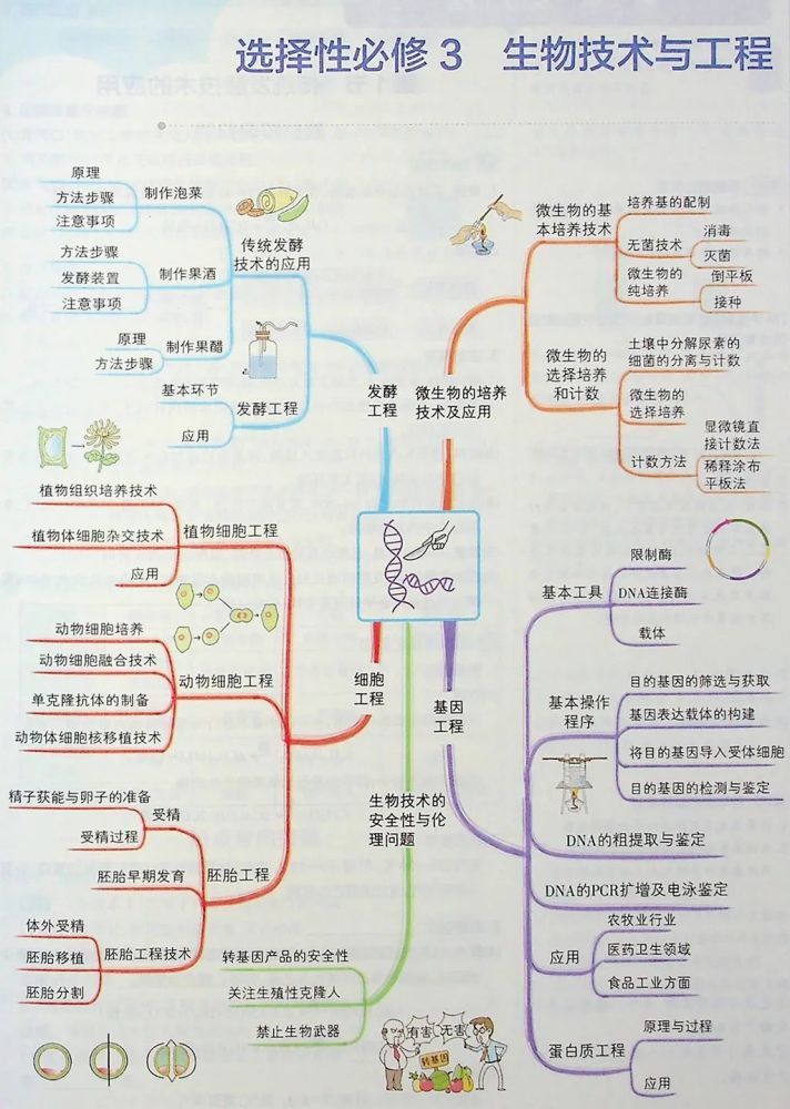 高中生物學霸提分筆記動物細胞工程