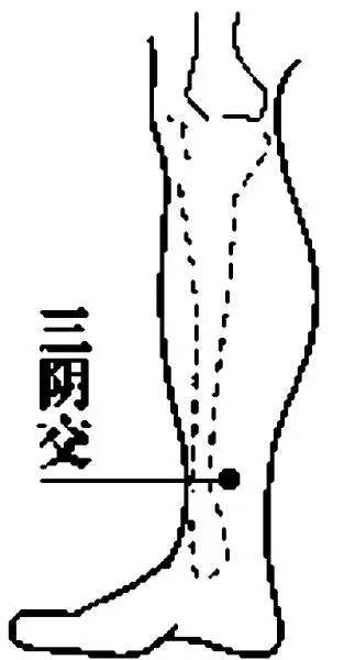 背部第七胸椎下,病人臥位低頭垂臂,兩側肩胛角下緣連線交於脊背正中點