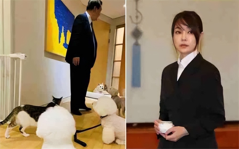 韩国第一夫人金建希 被爆学历造假整容行贿 因高颜值仍有死忠粉 腾讯新闻