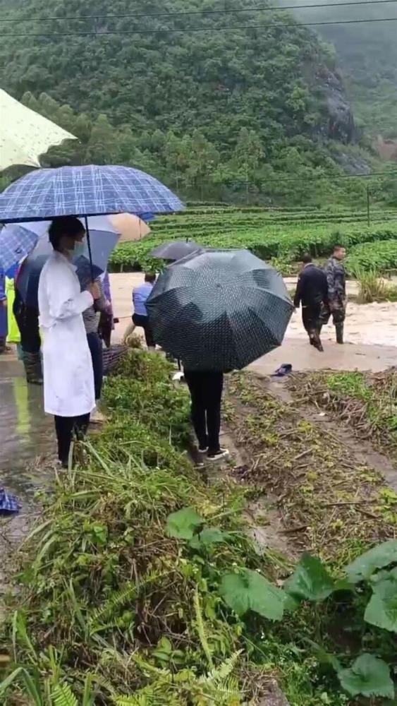 广西忻城多名学生上学途中被洪水冲走，两名落水者经抢救无效身亡
