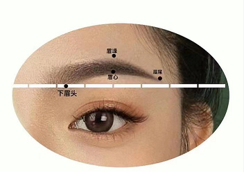 技术干货新手必备的眉形设计技巧