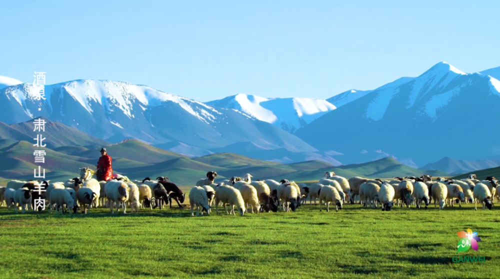面积最大的县酒泉市肃北蒙古族自治县在人与自然的完美呵护下丰富的风